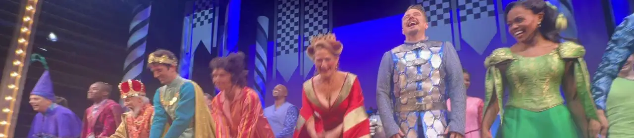 Once Upon A Mattress