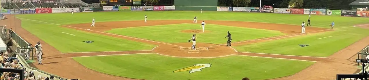 Myrtle Beach Pelicans