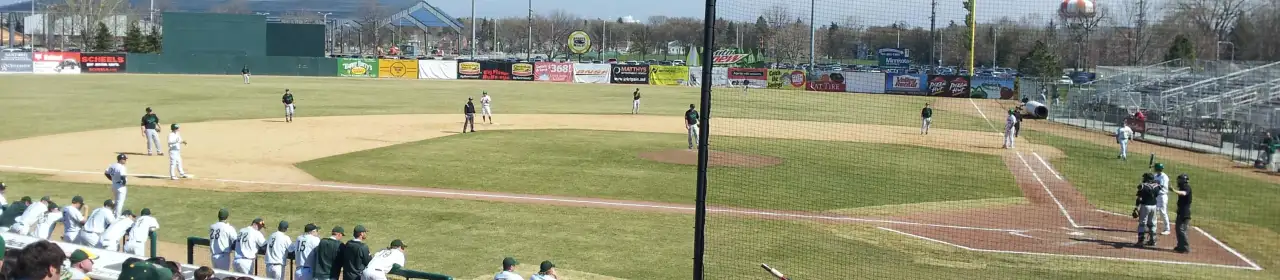 North Dakota State Bison
