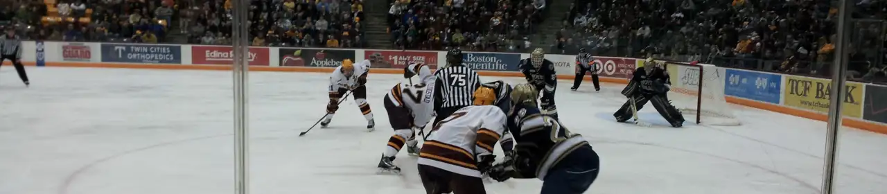 Minnesota Golden Gophers