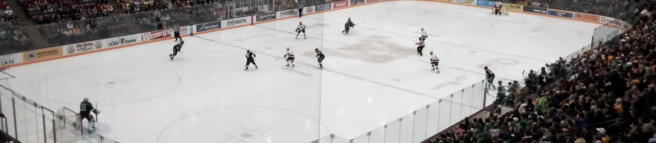 3M Arena at Mariucci