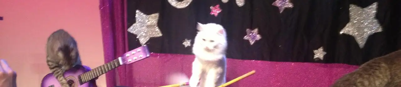 Painted Bride Art Center