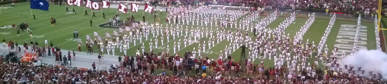 South Carolina Gamecocks