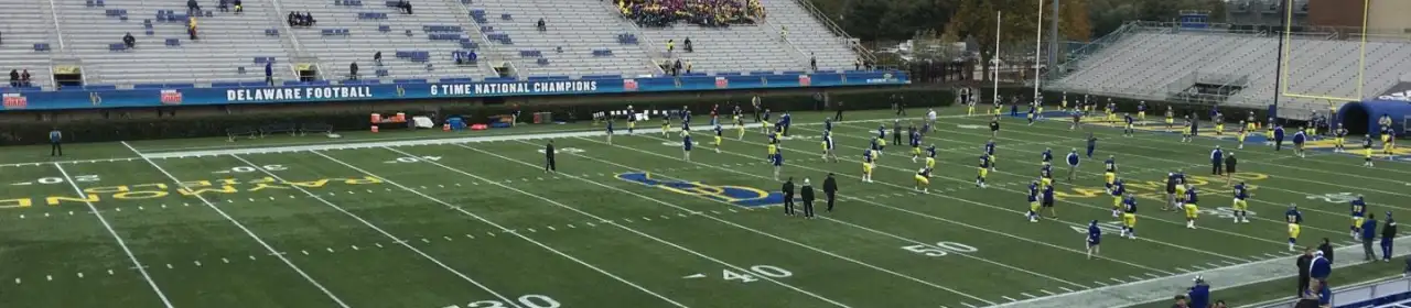 Delaware Fightin' Blue Hens