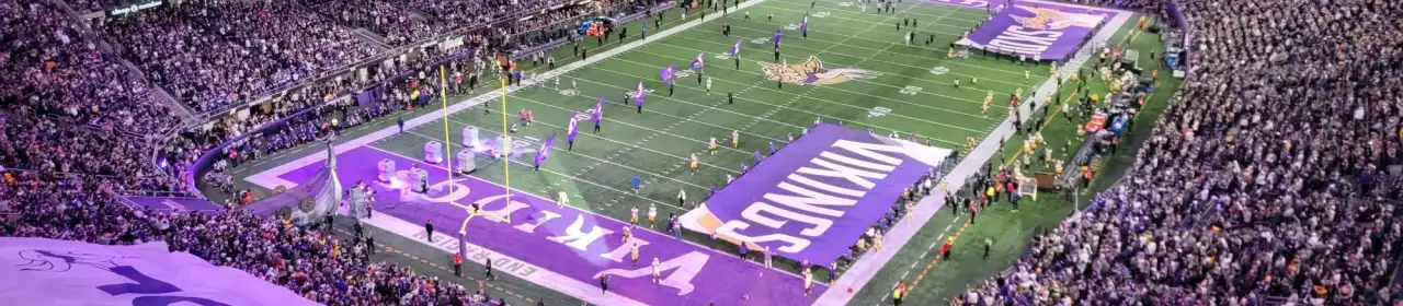 Minnesota Vikings
