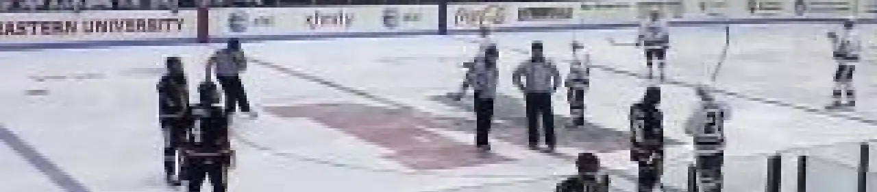 Northeastern Huskies