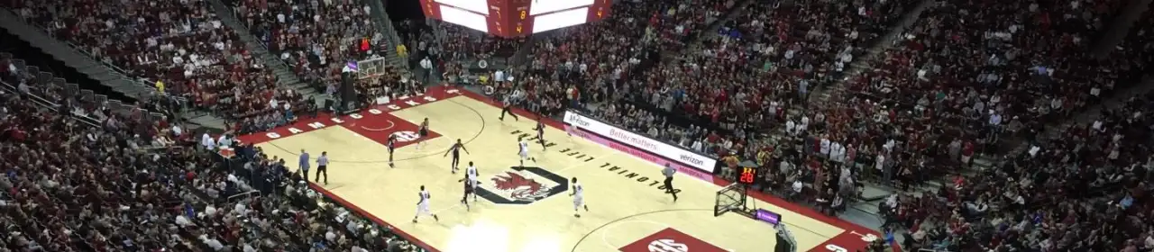 South Carolina Gamecocks