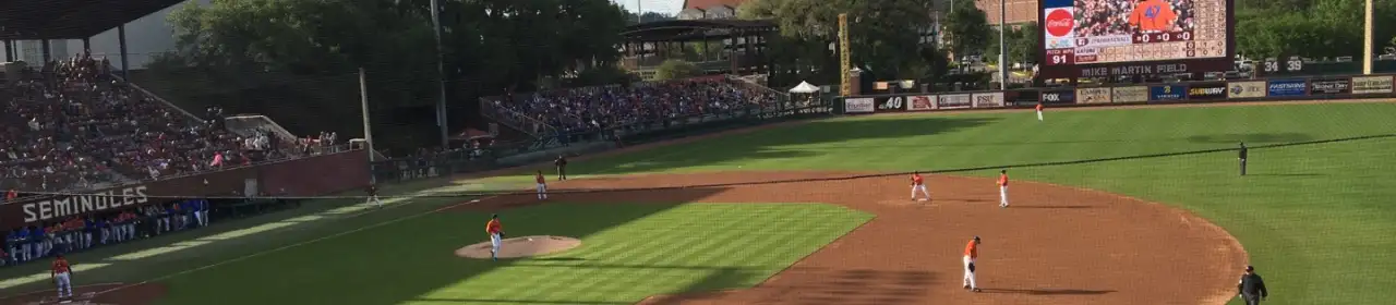 Florida State Seminoles