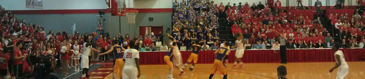 Stony Brook Seawolves