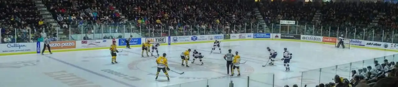 Progressive Auto Sales Arena