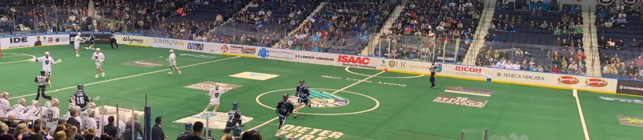 Rochester Knighthawks