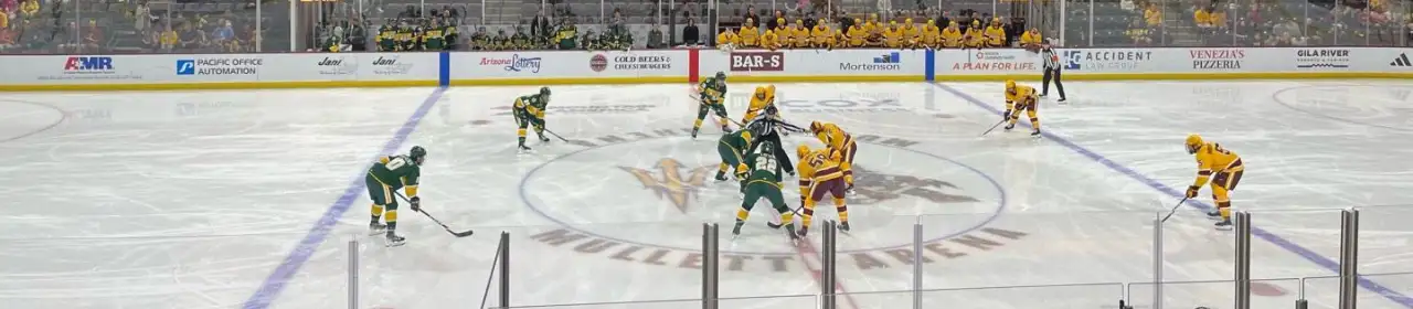 Mullett Arena