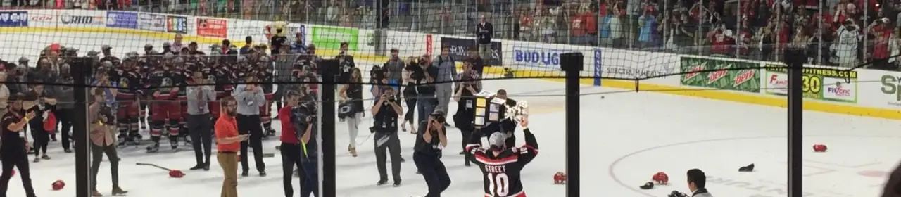 Grand Rapids Griffins