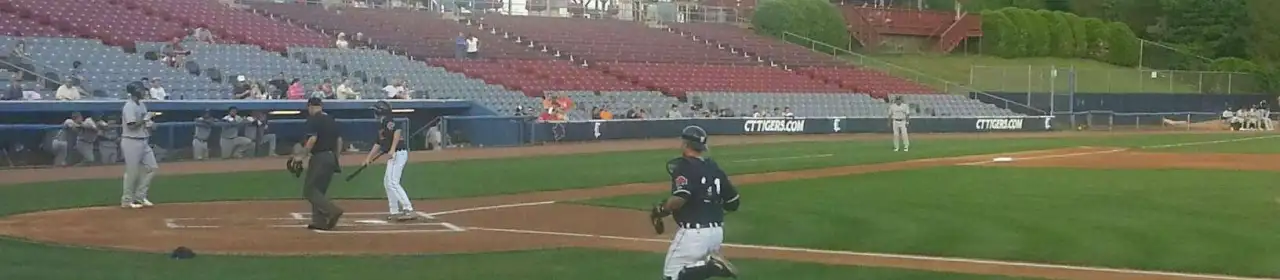 Norwich Sea Unicorns