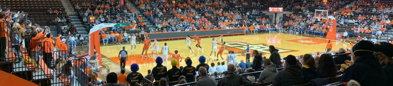 Bowling Green Falcons