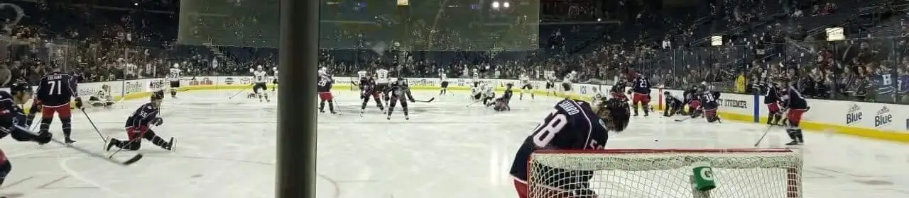 Columbus Blue Jackets