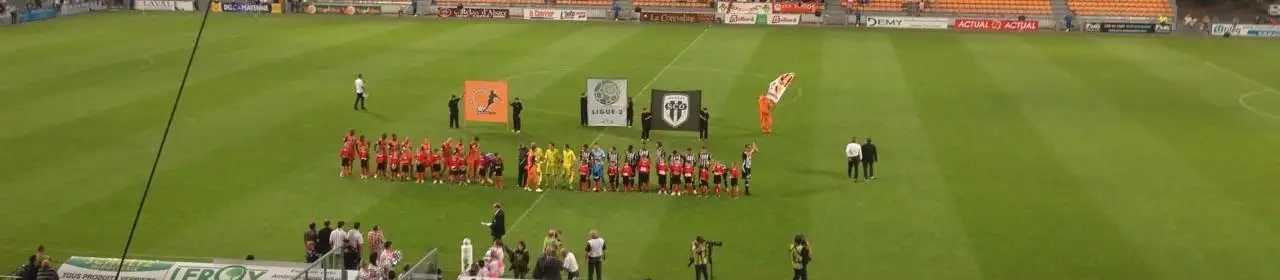 Stade Francis Le Basser