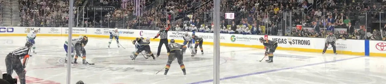 Vegas Golden Knights