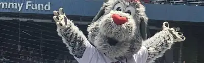 Worcester Red Sox