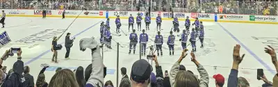 Minnesota Frost