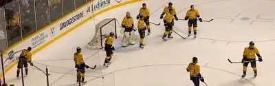 Nashville Predators