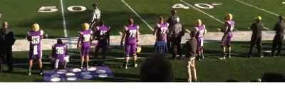 Albany Great Danes