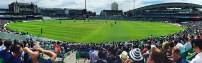 cricket