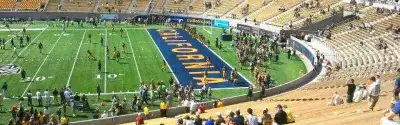 California Golden Bears