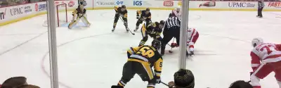 Pittsburgh Penguins