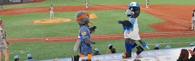 Aberdeen IronBirds