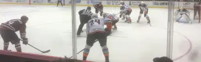 San Diego Gulls