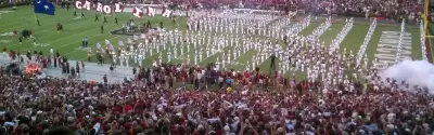 South Carolina Gamecocks