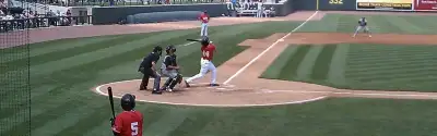 Great Lakes Loons