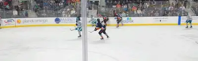 San Jose Barracuda