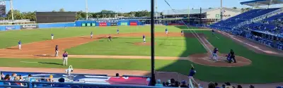Dunedin Blue Jays