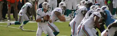 Miami Dolphins
