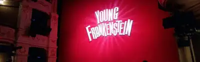 Young Frankenstein