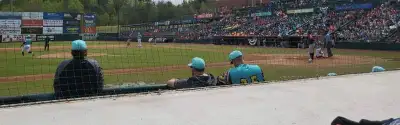Hickory Crawdads
