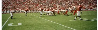 Arkansas Razorbacks