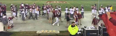 Temple Owls