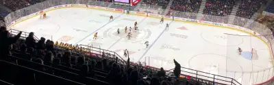 TD Coliseum
