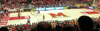 Maryland Terrapins