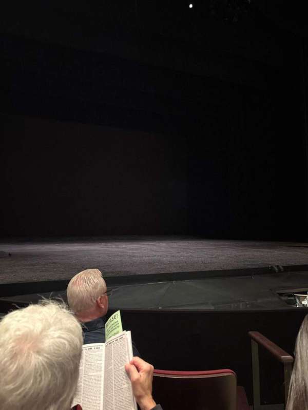 Vivian Beaumont Theater, section: Orchestra LC, row: D, seat: 202