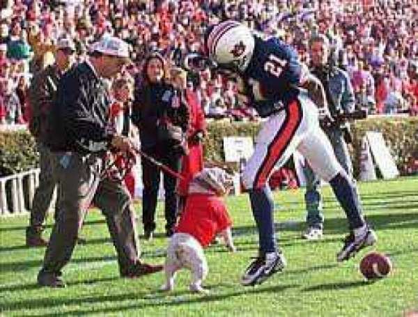 Sanford Stadium, section: 131, row: 01, seat: 5