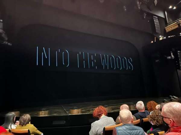 Bridge Theatre, section: Stalls, row: D, seat: 25