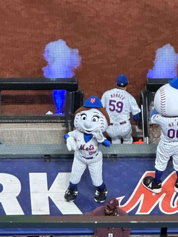 Citi Field, section: 407, row: 5, seat: 5