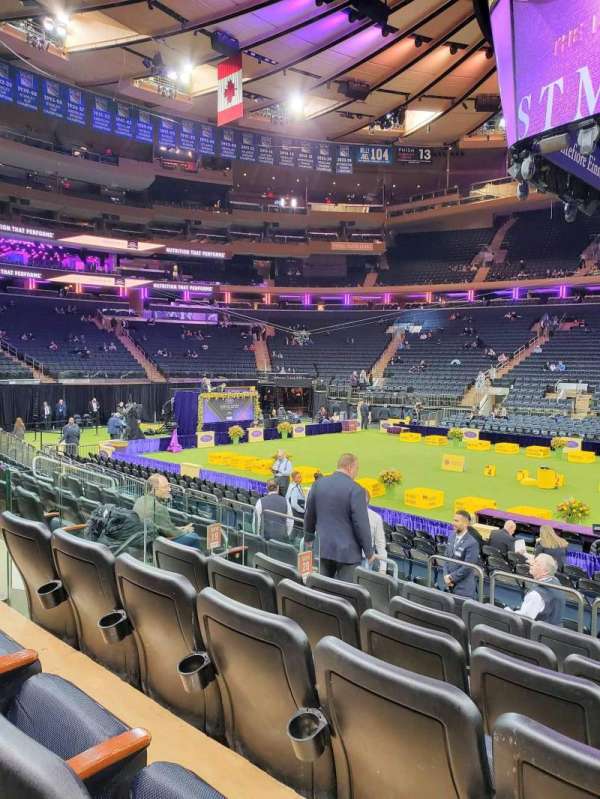 Madison Square Garden, section: 107, row: 7, seat: 19