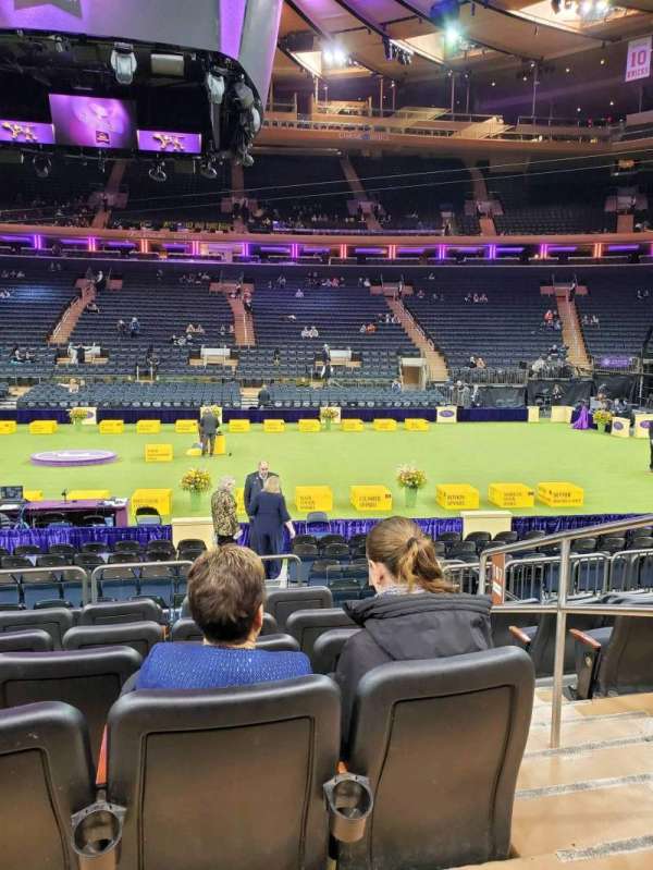 Madison Square Garden, section: 107, row: 7, seat: 19