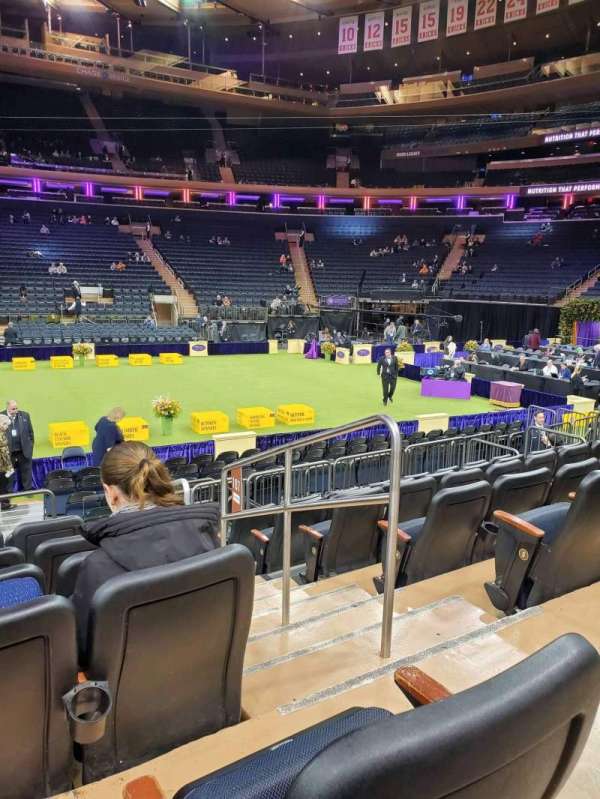 Madison Square Garden, section: 107, row: 7, seat: 19