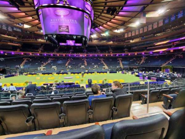 Madison Square Garden, section: 107, row: 7, seat: 18
